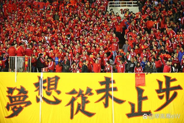 以胜利告别俄罗斯  国足用拼搏赢得尊重